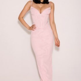 Romy Pink Mesh Bodycon Maxi Dress - Image 12