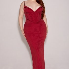 Romy Wine Mesh Bodycon Maxi Dress - Image 13