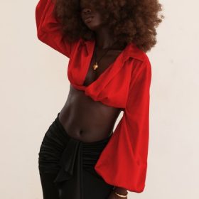 Laraine Cherry Silk Blouson Top