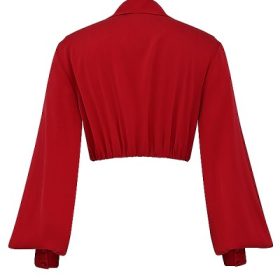Laraine Cherry Silk Blouson Top - Image 4