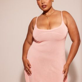 Lorenza Primrose Sheer Knit Mini Dress