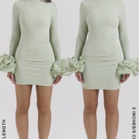 Camilla Pistachio Ruffle Cuff Mini Dress - Image 11